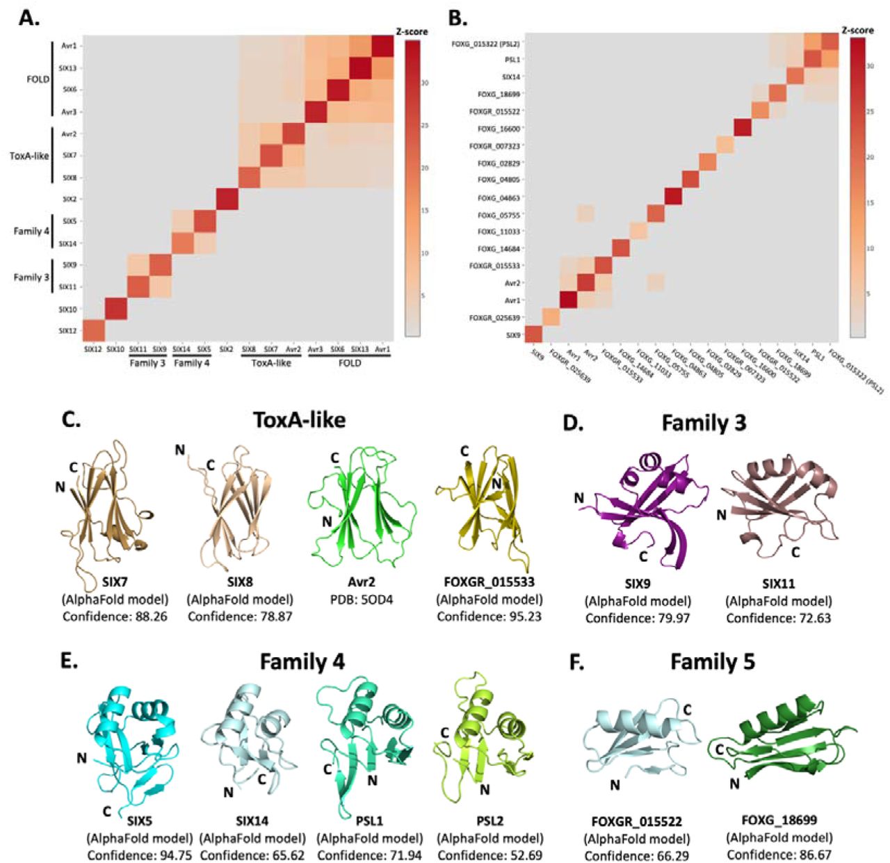 Fusarium oxysporum effectors