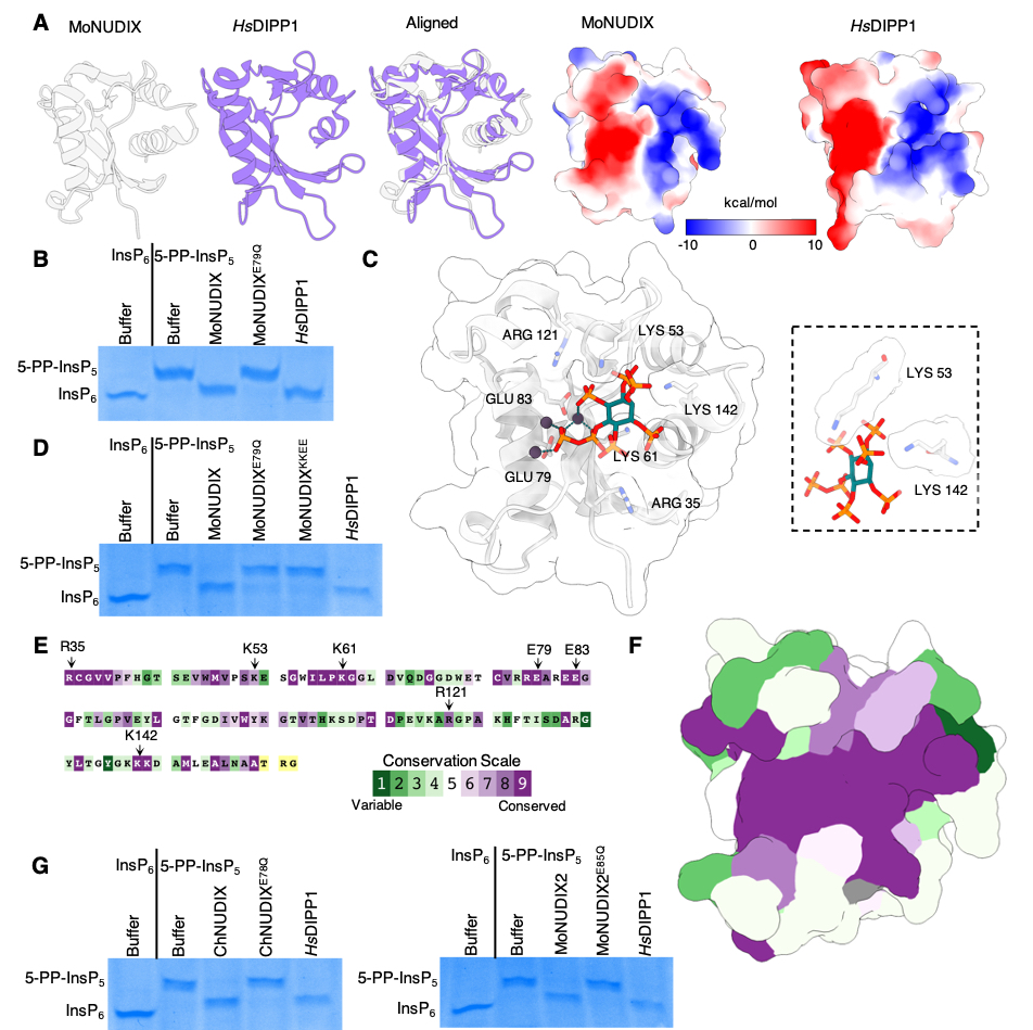 figure from scientific paper