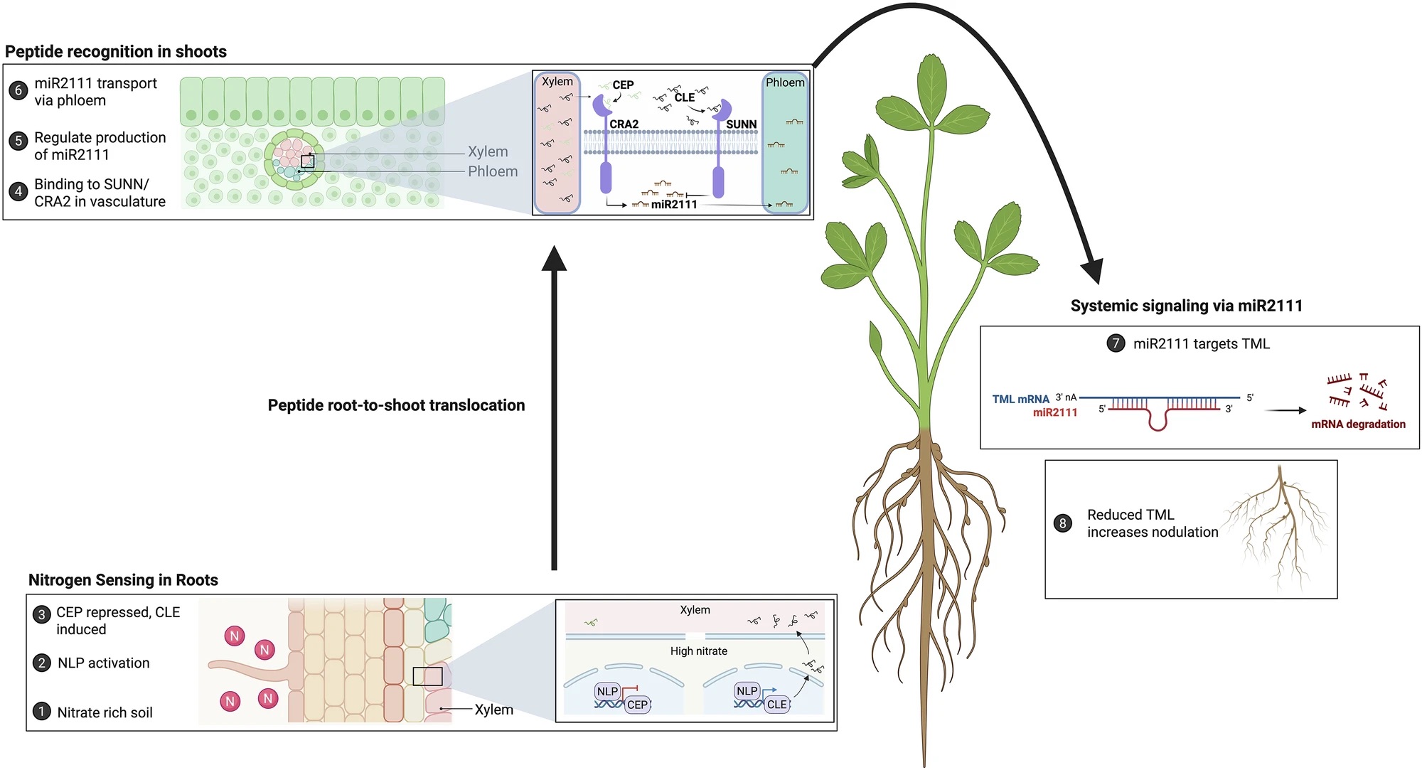 figure from scientific paper